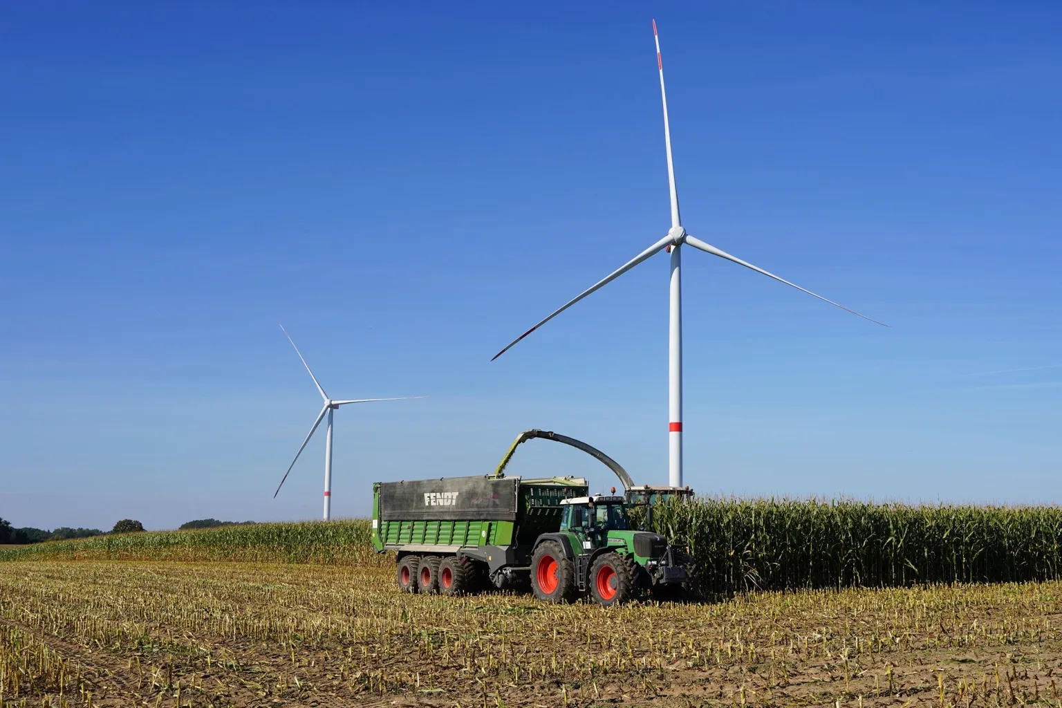 A tractor and forage trailer harvesting a maize field, with wind turbines behind.